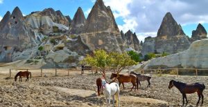 Bodrum to Cappadocia Tour