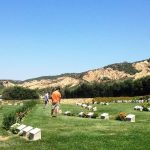 Gallipoli Day Tour from Canakkale