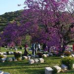 Istanbul to Samos Island via Gallipoli Troy Pamukkale & Ephesus