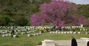Private Gallipoli Tour From Eceabat and Canakkale