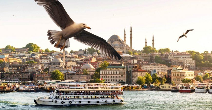 Istanbul Active & Sea Life Tour