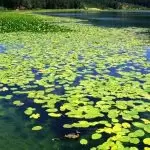 Sapanca & Masukiye Tour From Istanbul