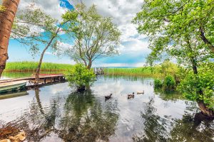 Sapanca Masukiye Tour from Istanbul