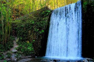 Sapanca Masukiye Tour from Istanbul