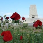 Gallipoli and Troy Tours from Eceabat