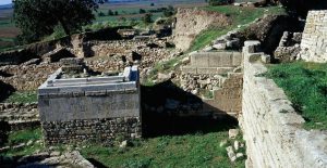 Eceabat and Canakkale to Troy Private Tours