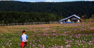 Trabzon Black Sea Tour Packages From Istanbul