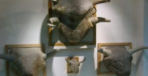 Old Catalhoyuk Hattusa Civilization