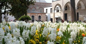 The Flowered Shield Topkapi Palace in Istanbul