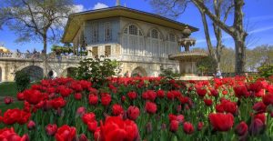 The Flowered Shield Topkapi Palace in Istanbul