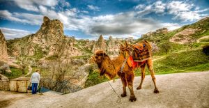 Camel Ride in Cappadocia